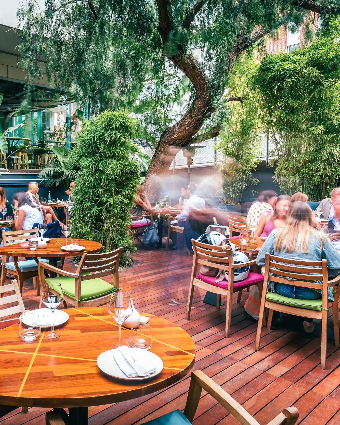 Ikibana Sarrià | Restaurante japonés, restaurantes japoneses en Barcelona