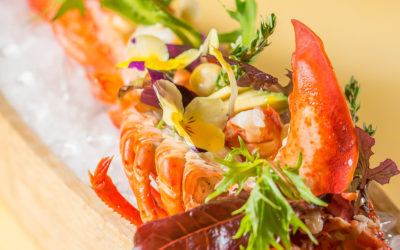 Los 6 Mejores Restaurantes de Cocina Nikkei en Barcelona