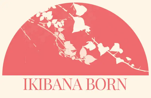 Ikibana born