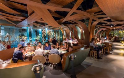 Los 5 Restaurantes de Diseño en Barcelona que marcan Tendencia